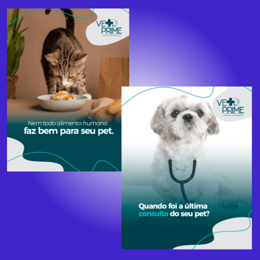 Case clínica veterinária – redes sociais e tráfego pago